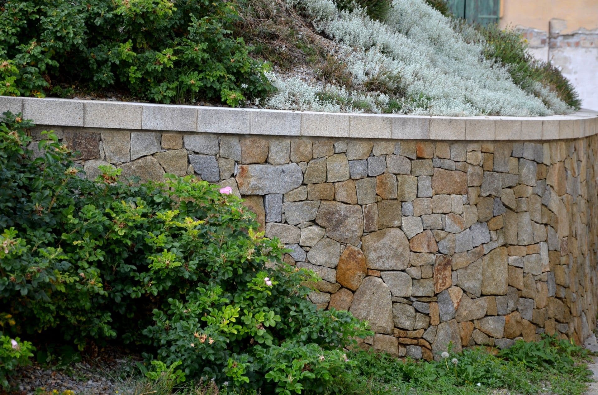 Curved stone retaining wall with varied earth-toned blocks, topped with concrete cap, bordered by green shrubs and silver-leafed plants with a pink flower visible