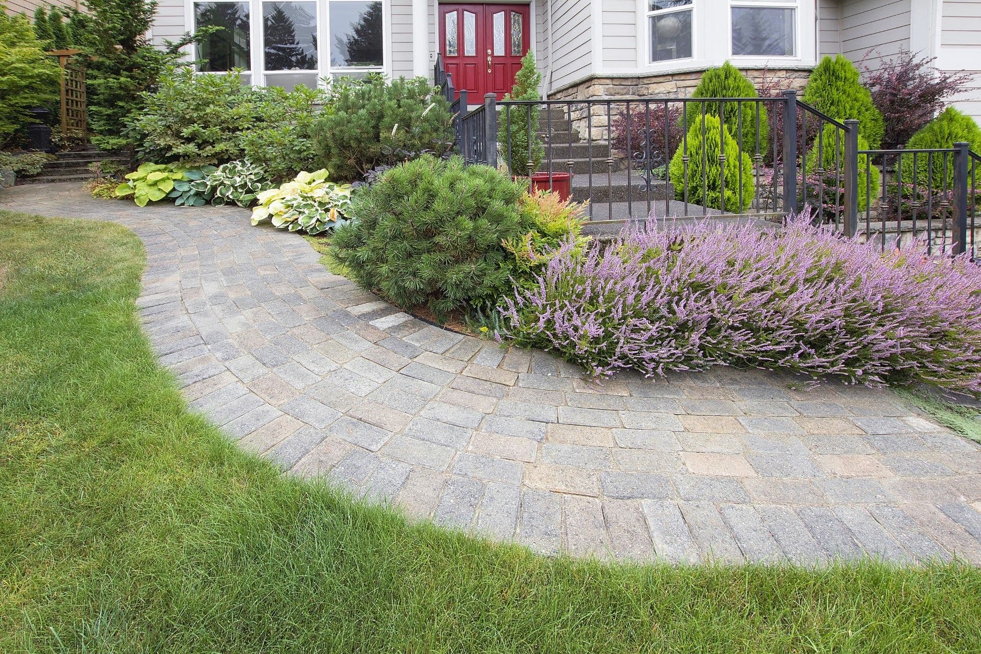 Landscaped front yard with paver patio, purple flowering plants, green shrubs, and lawn leading to house with red front doors and black metal railing