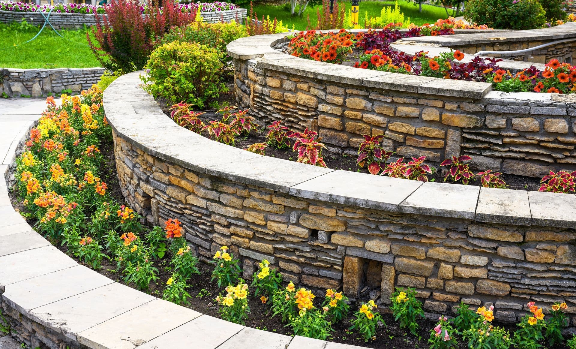 Curved stone retaining walls with concrete caps form tiered planting beds filled with yellow, orange, and red flowering plants and burgundy foliage, bordered by a stone patio in a landscaped garden