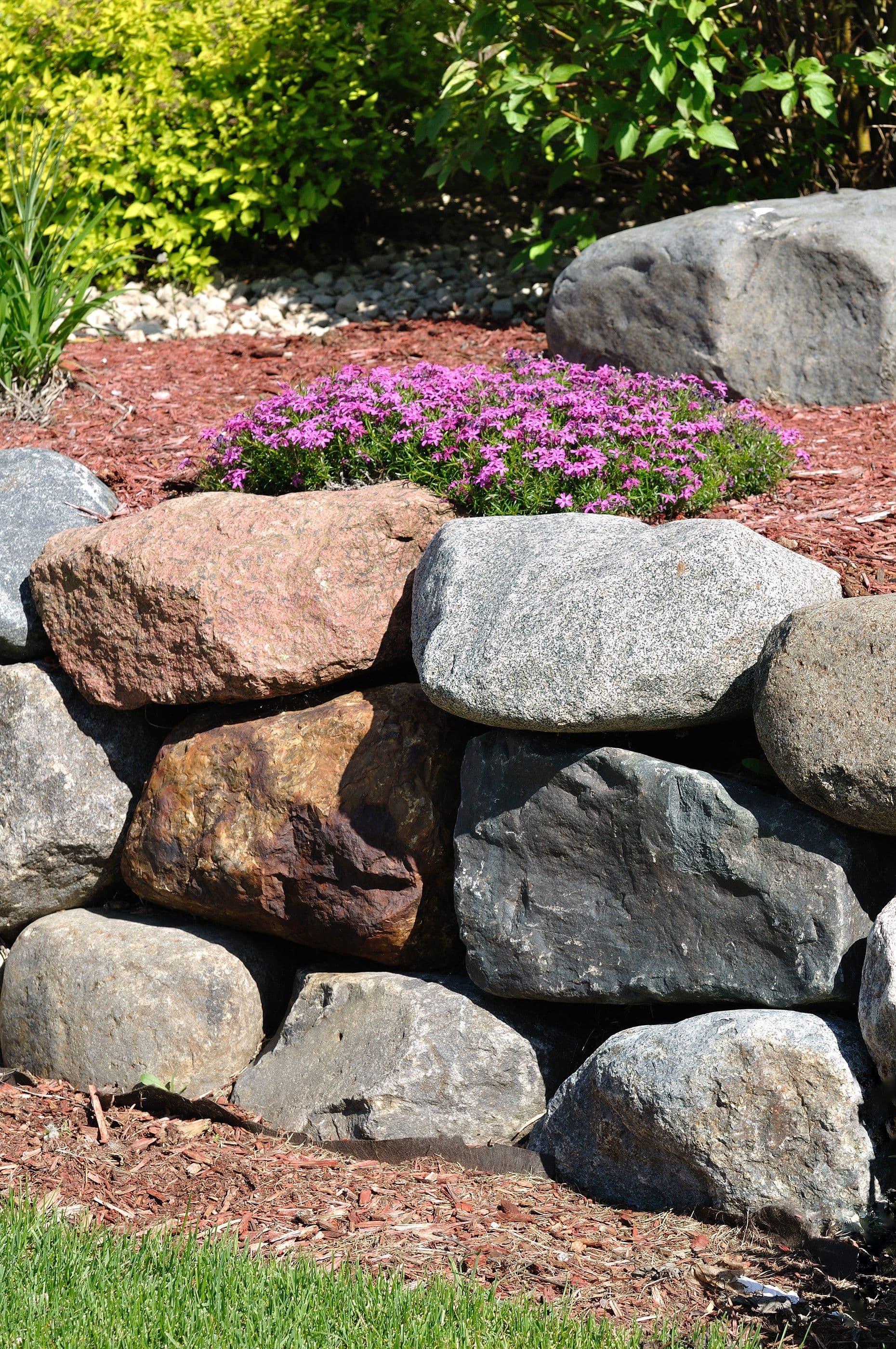 Garden landscape with stacked boulders, magenta dianthus flowers on red mulch, and green shrubs in background